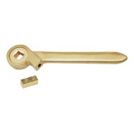 Antrenoare cu clichet...