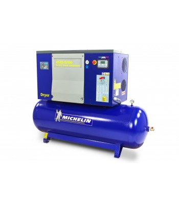 Compresor cu surub, MICHELIN, 7,5 CP, 270 litri, cu uscator de aer - Aschietoare.com