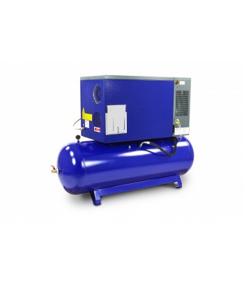 Compresor cu surub, MICHELIN, 7,5 CP, 270 litri, cu uscator de aer - Aschietoare.com