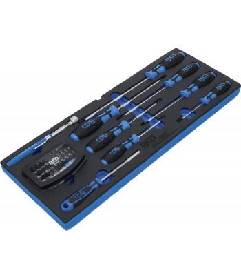 Suport din spuma pentru BGS 3312: surubelnite, set biti si dispozitiv magnetic de ridicare 41 piese