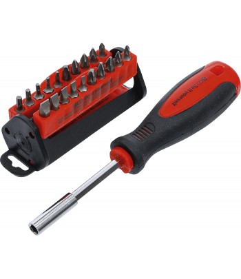 Set surubelnite biti 31 piese