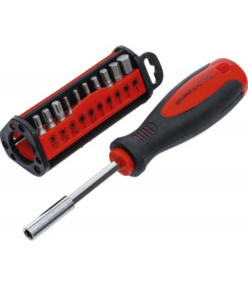 Set surubelnite biti 31 piese