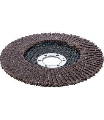 Disc slefuit evantai diametru 125 mm K 120