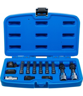 Set biţi pentru alternator | Antrenare 12,5 mm |1pe2 inch |13 piese
