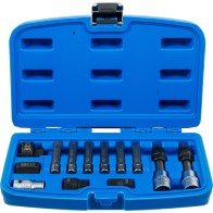 Set biţi pentru alternator...