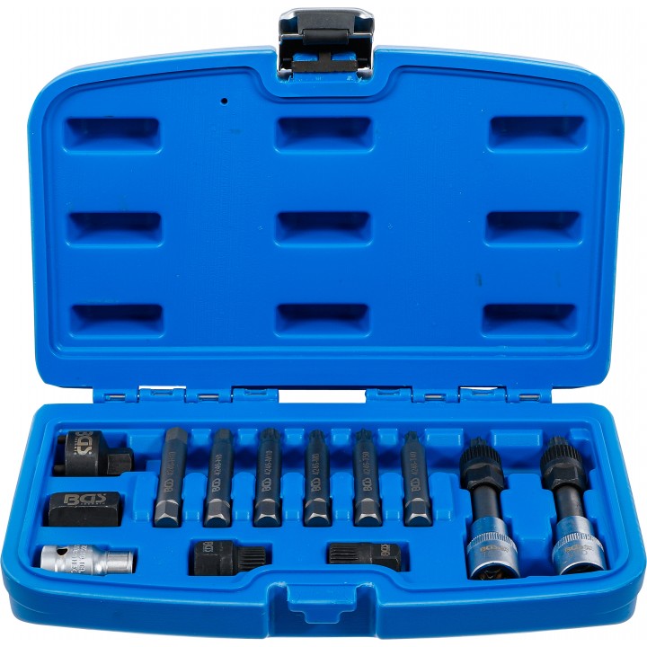 Set biţi pentru alternator | Antrenare 12,5 mm |1pe2 inch |13 piese