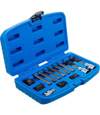 Set biţi pentru alternator | Antrenare 12,5 mm |1pe2 inch |13 piese