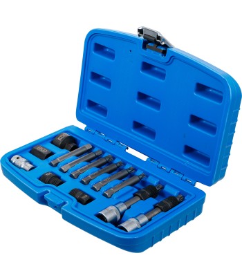 Set biţi pentru alternator | Antrenare 12,5 mm |1pe2 inch |13 piese