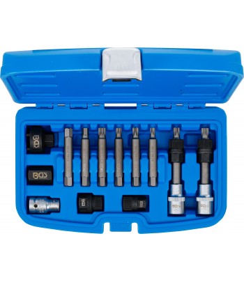 Set biţi pentru alternator | Antrenare 12,5 mm |1pe2 inch |13 piese