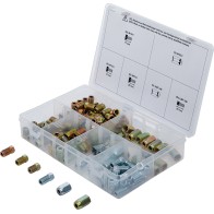 Piulite olandeze &...