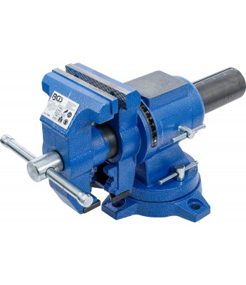 Menghinăa paralela | Bacuri de strangere 100 mm | Rotativa 360°